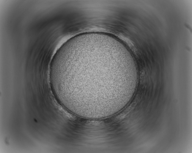 X0000097001374200802291137