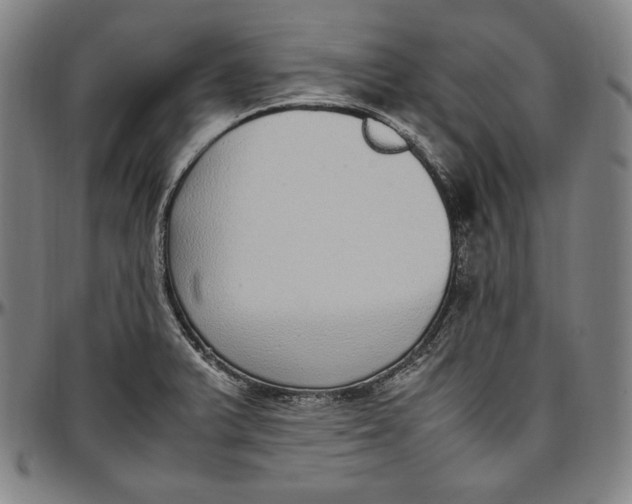 X0000097001375200802291137