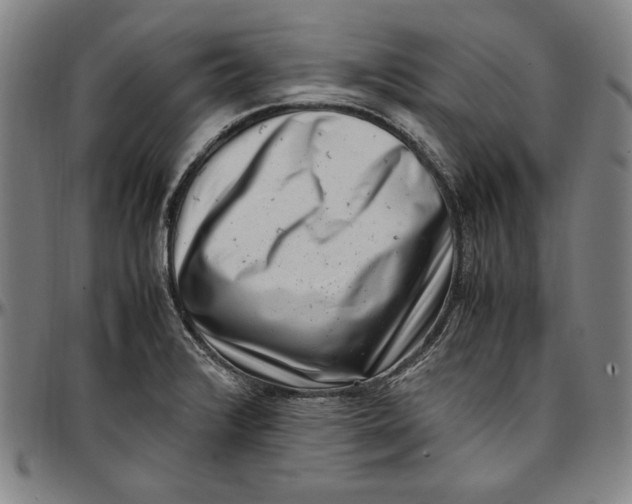 X0000097001376200802291137