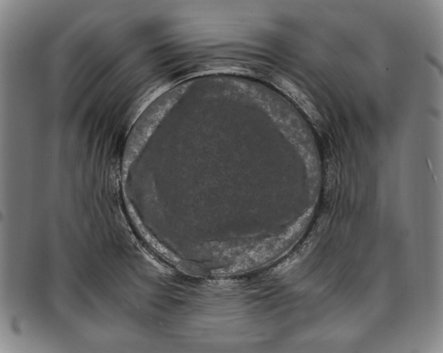 X0000097001377200802291137