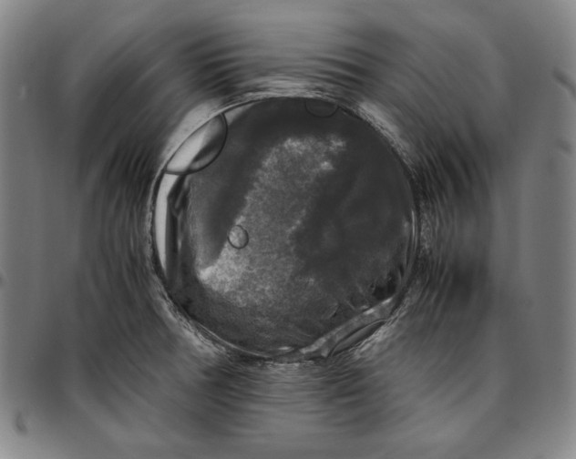 X0000097001378200802291137