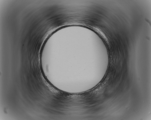 X0000097001380200802291137