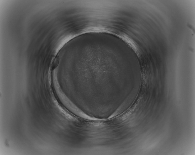 X0000097001382200802291137