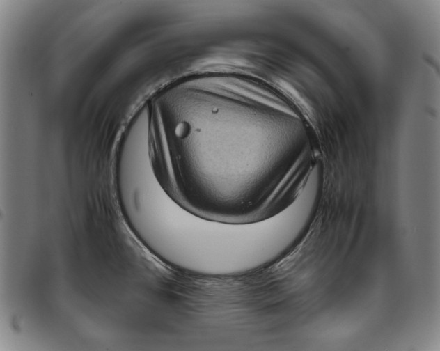 X0000097001384200802291136