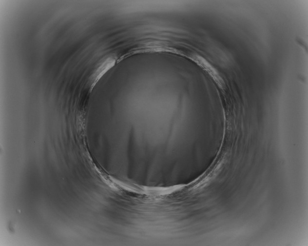 X0000097001385200802291136