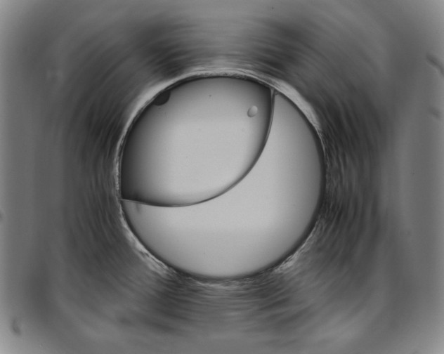 X0000097001388200802291136