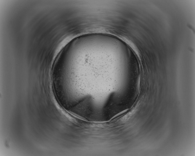 X0000097001389200802291136