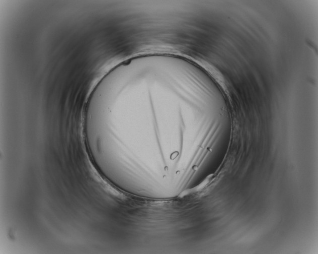 X0000097001390200802291136