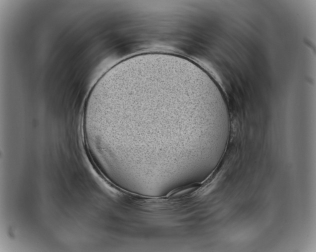 X0000097001391200802291136