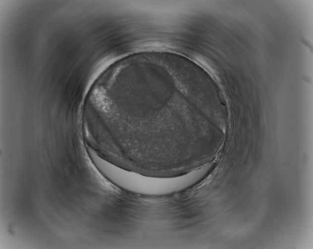 X0000097001392200802291136