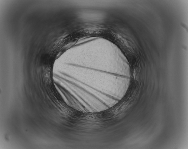 X0000097001396200802291136