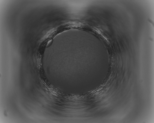 X0000097001399200802291136