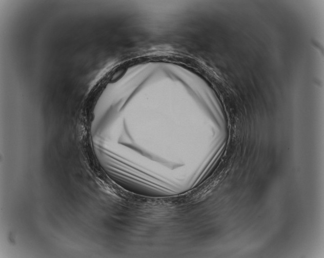 X0000097001400200802291136