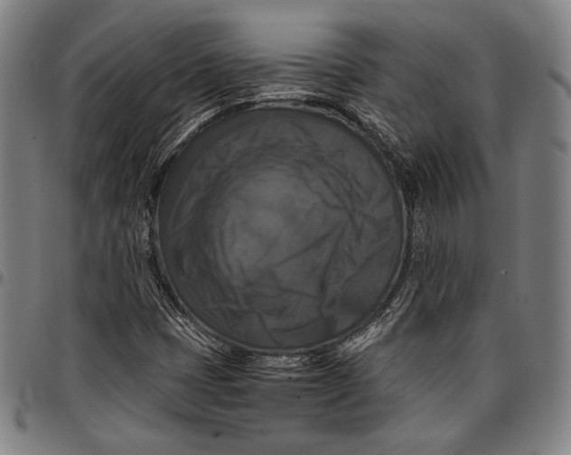 X0000097001401200802291136