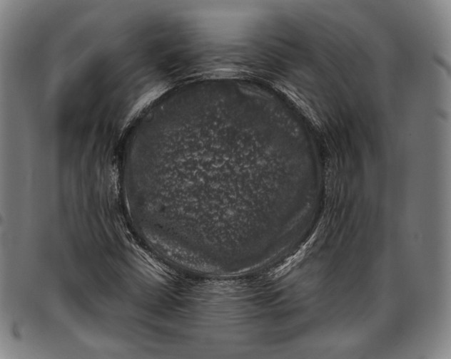 X0000097001402200802291136