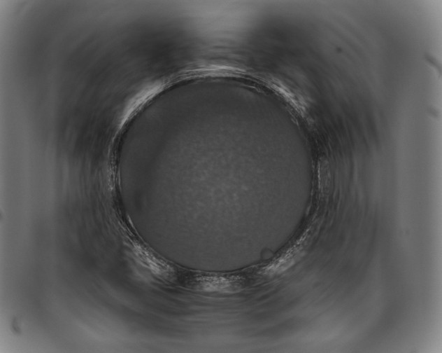 X0000097001405200802291136