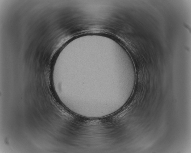 X0000097001410200802291136