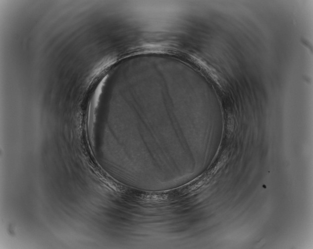 X0000097001411200802291136