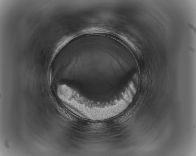 X0000097001413200802291136