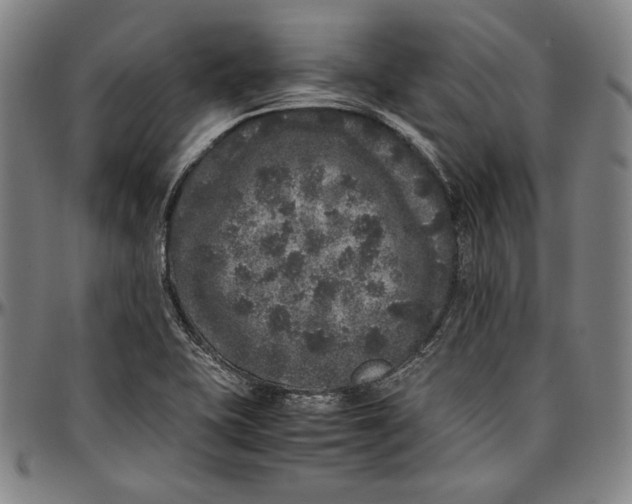 X0000097001415200802291136