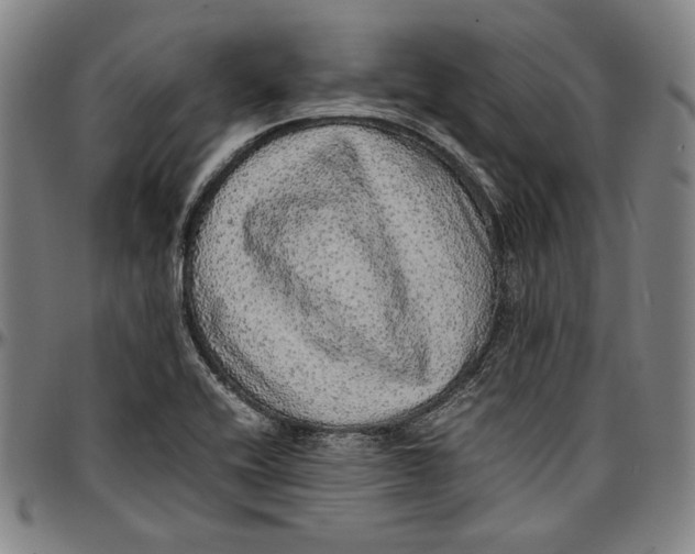 X0000097001416200802291136