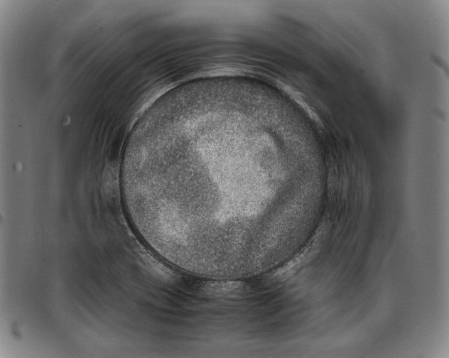 X0000097001417200802291136