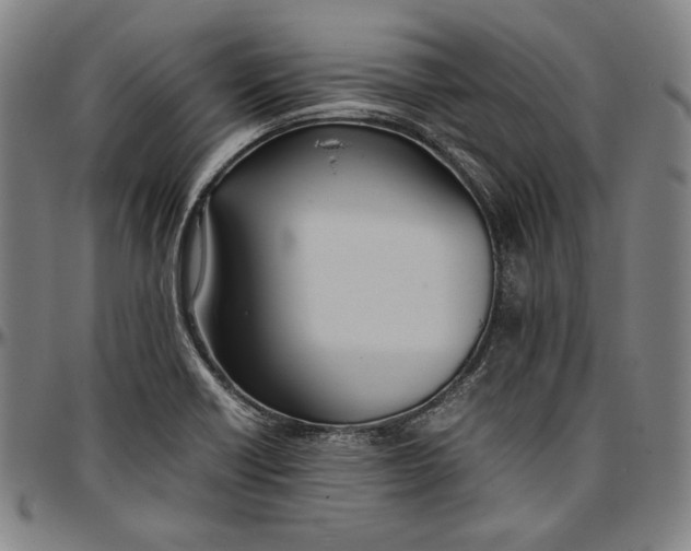 X0000097001418200802291136