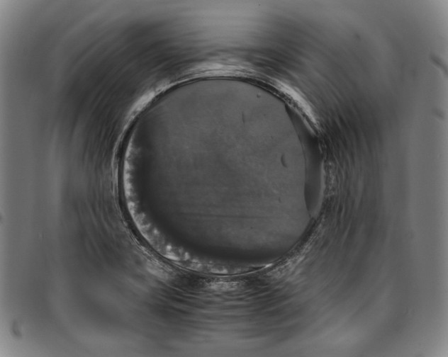 X0000097001419200802291136