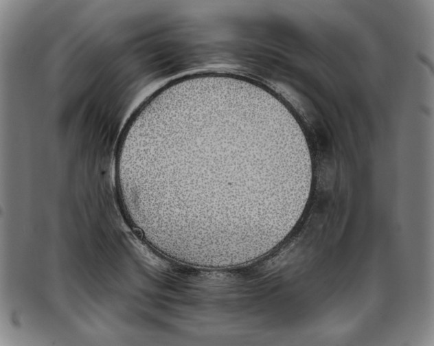 X0000097001420200802291136