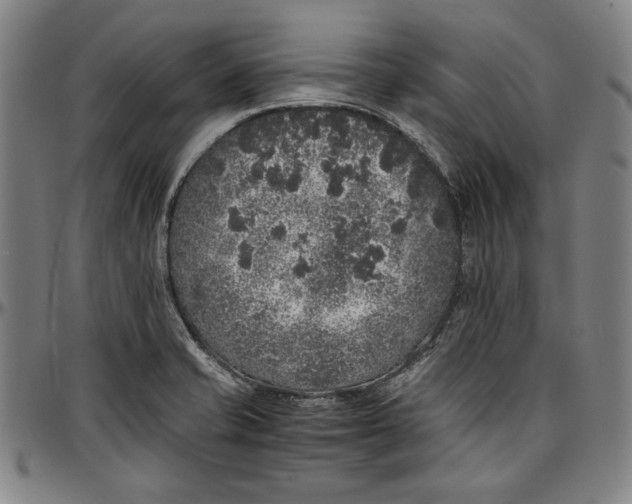 X0000097001421200802291136