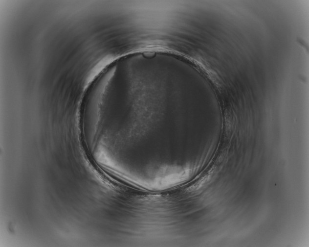 X0000097001422200802291136