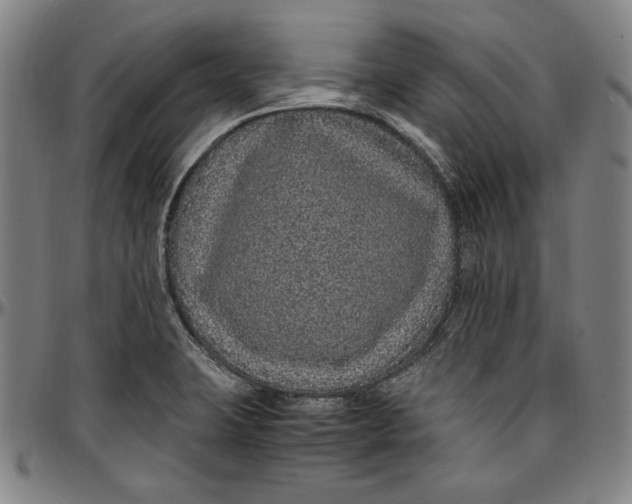 X0000097001423200802291136