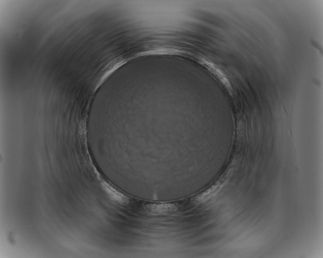 X0000097001425200802291136