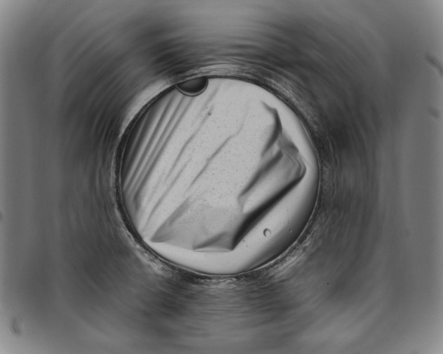 X0000097001426200802291136