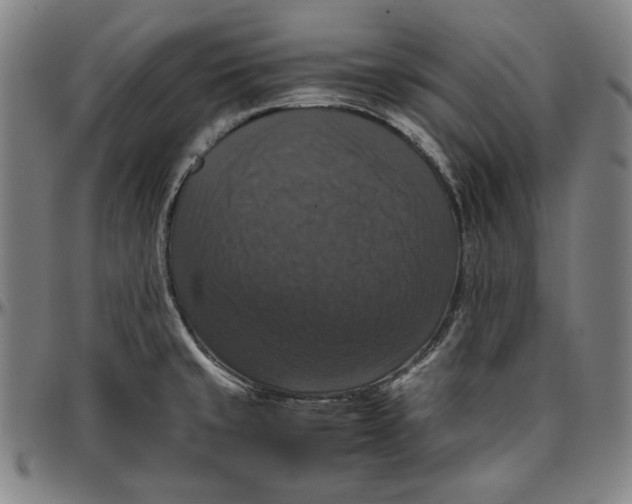 X0000097001429200802291136