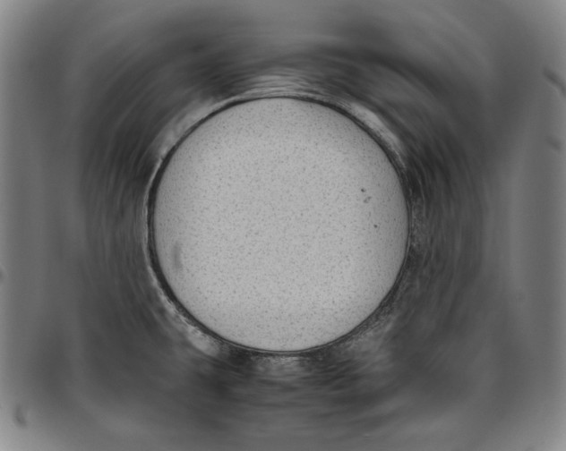 X0000097001431200802291136