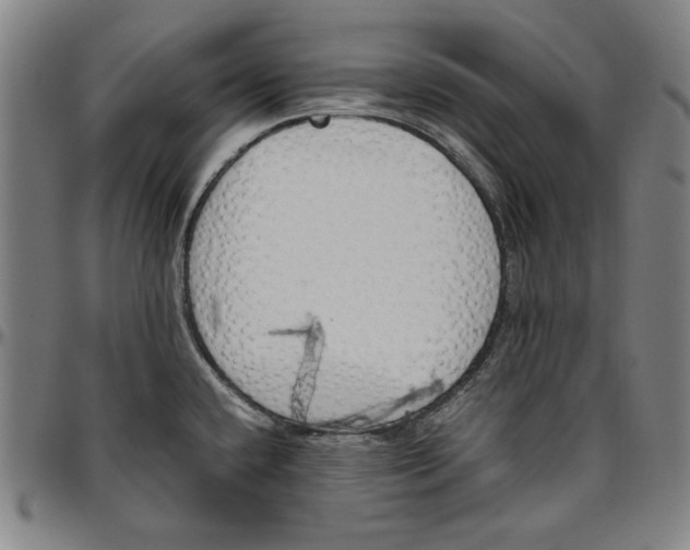 X0000097001432200802291136