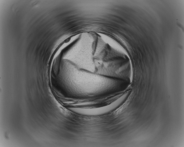 X0000097001434200802291136