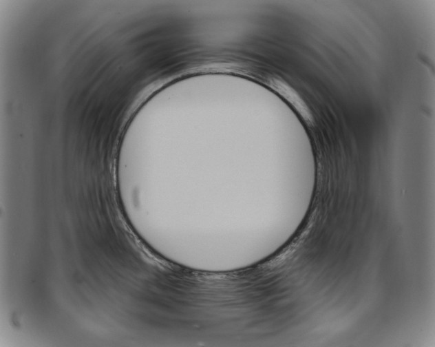 X0000097001436200802291136