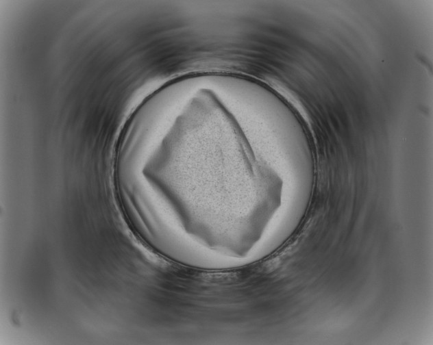 X0000097001437200802291136