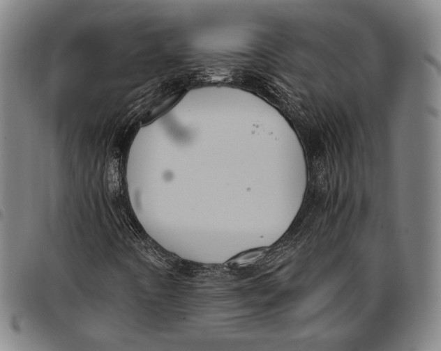 X0000097001442200802291136