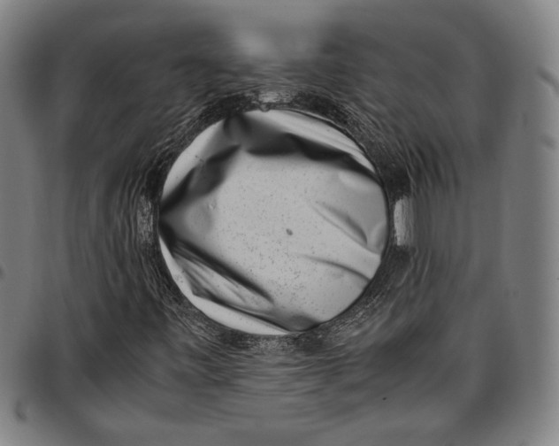 X0000097001443200802291136