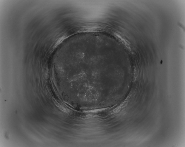 X0000097001449200802291136