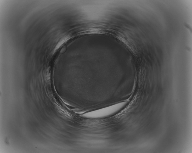 X0000097001450200802291136