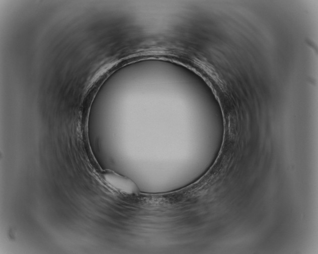 X0000097001452200802291135