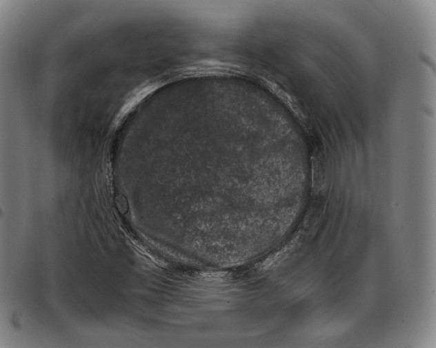 X0000097001453200802291135