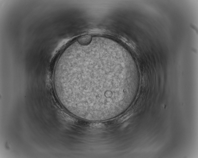 X0000097001454200802291135