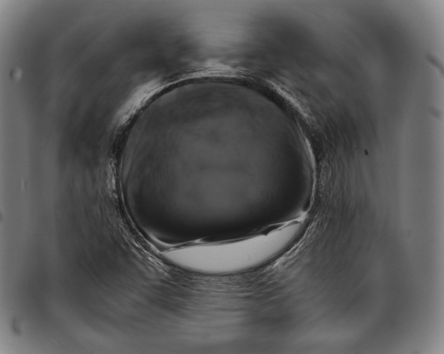 X0000097001455200802291135