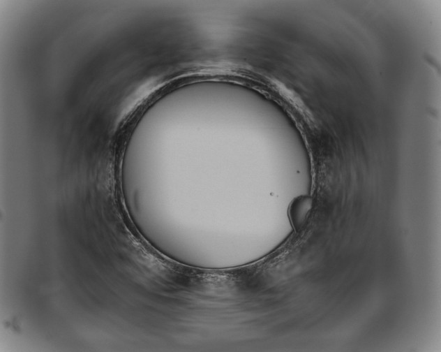 X0000097001456200802291135