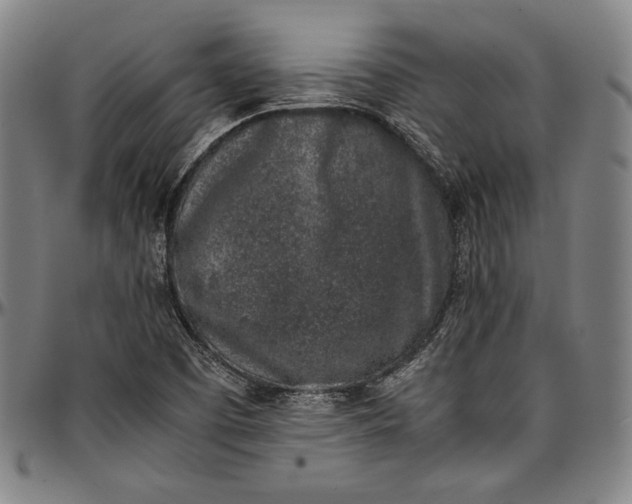 X0000097001457200802291135